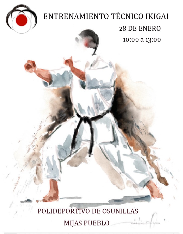 Entrenamiento Técnico