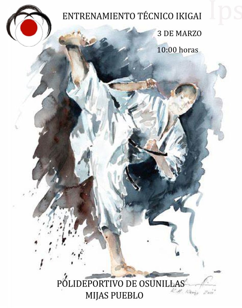 Entrenamiento Técnico