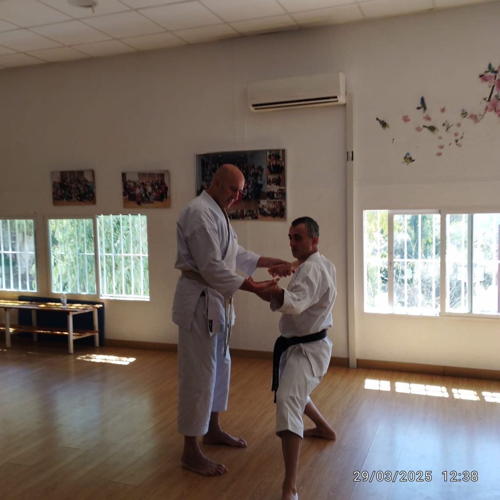 Curso de tecnificación para instructores de karate JKA